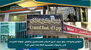 «توفير ومرونة» رفع حدود تدبير الدولار للمسافرين وخفض عمولة الكريدت كارد بالبنوك المصرية 2025 ماذا تعني لك؟